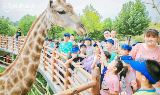 深耕六年，济南杨柳春风养成一座“终身学习型”社区