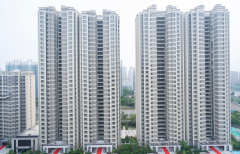 ��ŵ����ح�����ʢ̩�����̨���ڽ��� Ϊ������������